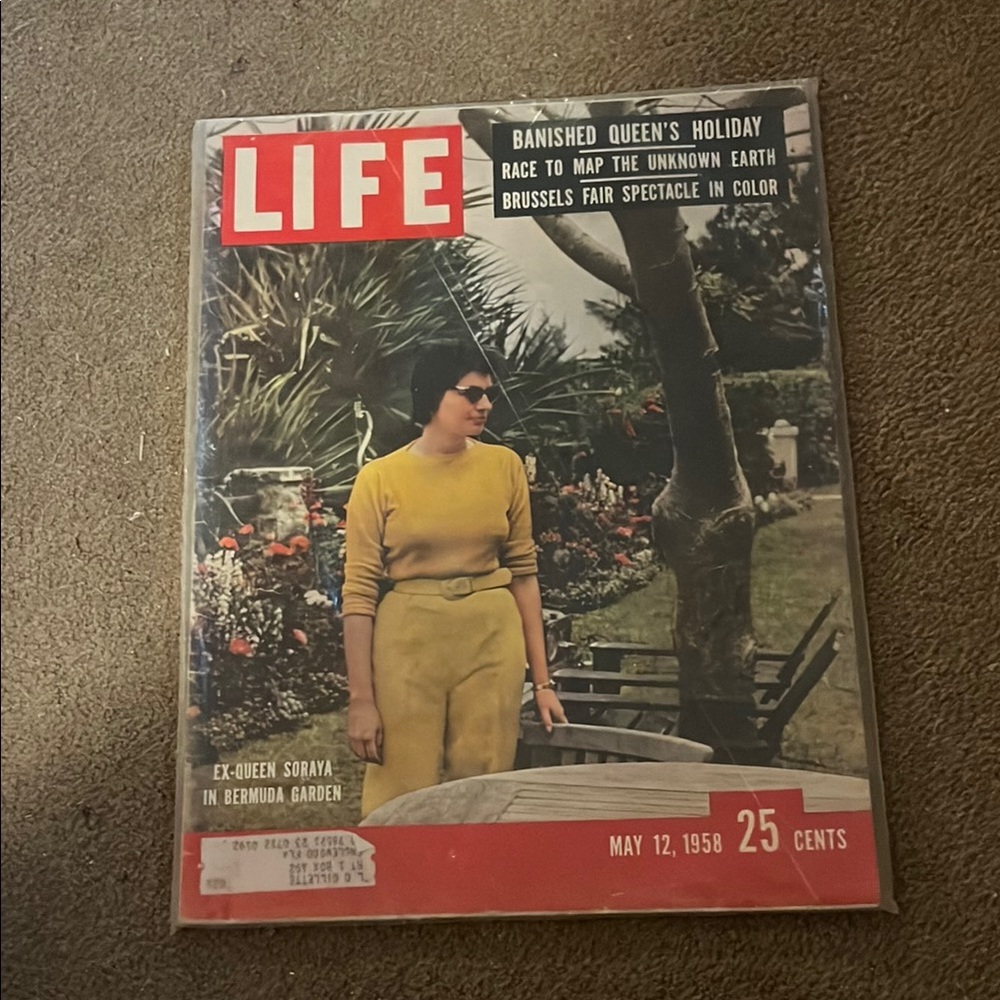 Vintage LIFE Magazine Cover Art